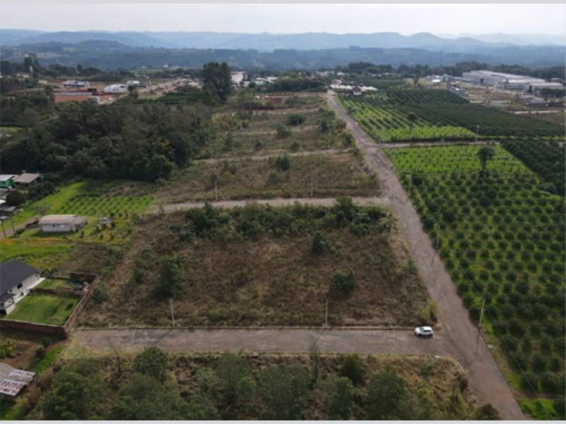 Terreno - Harmonia - RS, localizado em Harmonia - RS