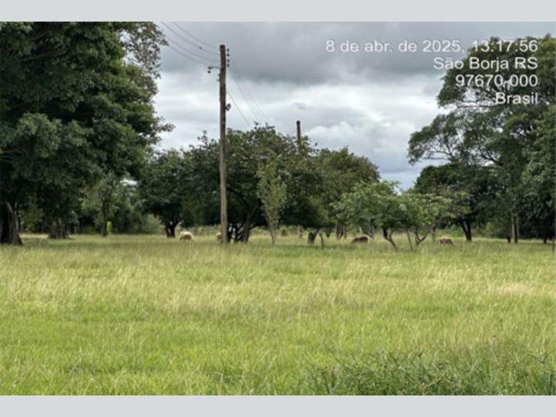 Terreno - São Borja - RS, localizado em São Borja - RS