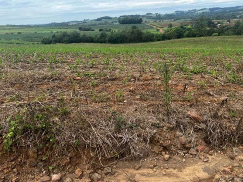 Terreno - Santa Rosa - RS, localizado em Santa Rosa - RS