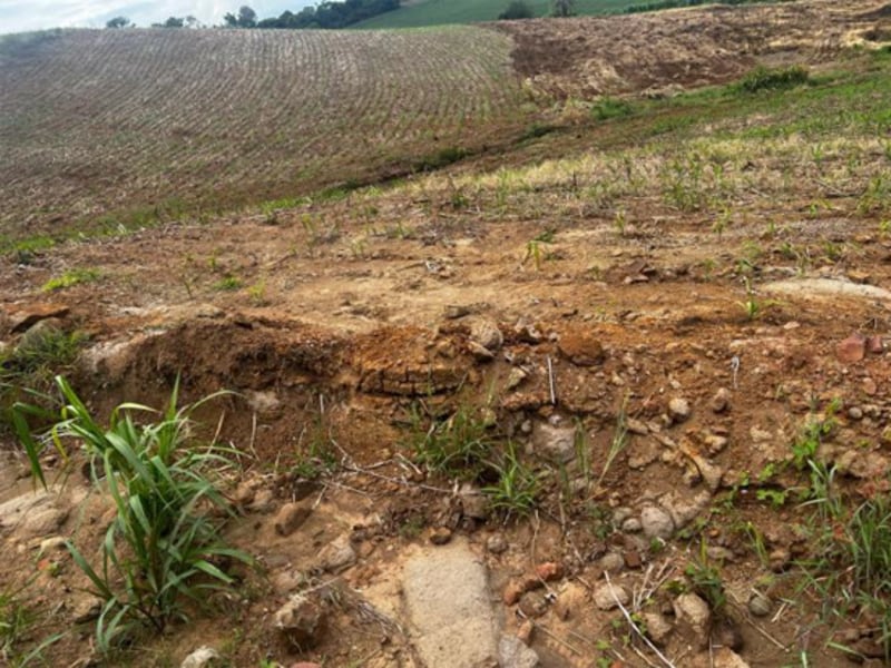 Terreno - Santa Rosa - RS, localizado em Santa Rosa - RS