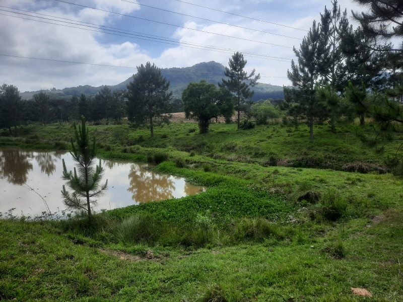Terreno - Rio do Campo - SC, localizado em Rio Do Campo - SC, bairro Guanabara