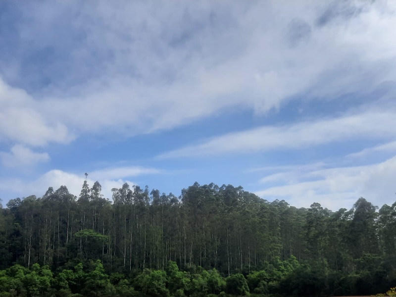Imagem do imóvel Terreno - Não-me-toque - RS