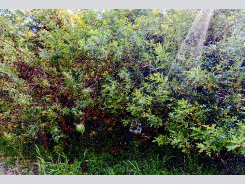 Imagem do imóvel Terreno - Cachoeira do Sul - RS