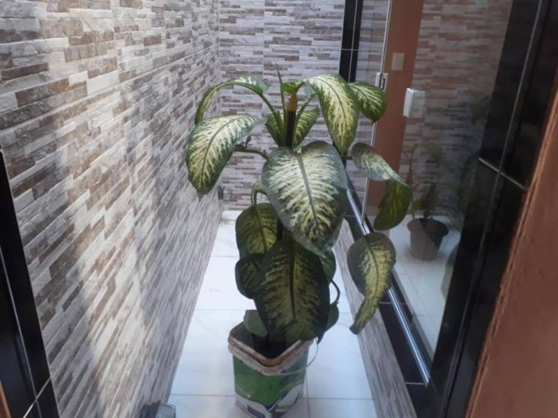 Casa - Tupanatinga - PE, localizado em Tupanatinga - PE, bairro Novo Horizonte