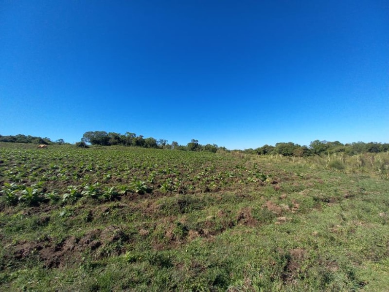 Imagem do imóvel Terreno - Canguçu - RS