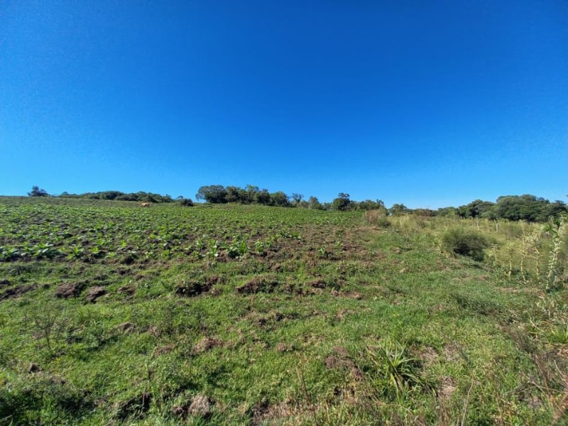 Terreno - Canguçu - RS, localizado em Canguçu - RS