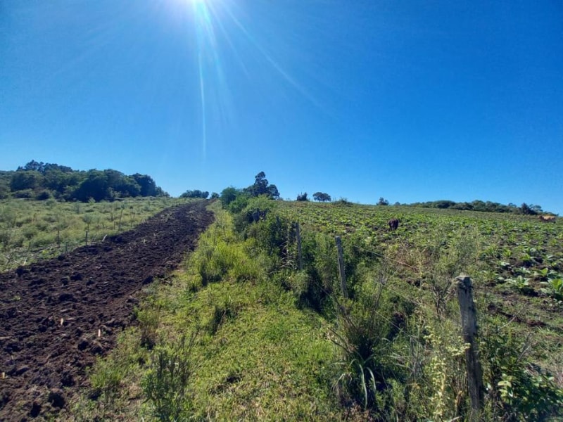 Terreno - Canguçu - RS, localizado em Canguçu - RS