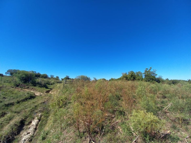 Terreno - Canguçu - RS, localizado em Canguçu - RS