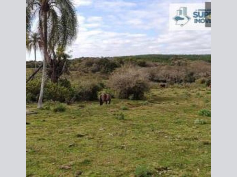 Terreno - Canguçu - RS, localizado em Canguçu - RS