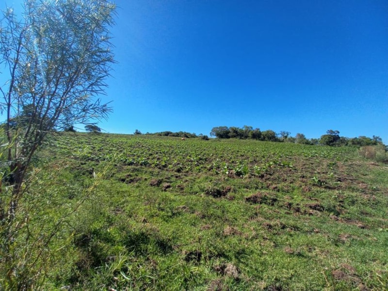 Terreno - Canguçu - RS, localizado em Canguçu - RS