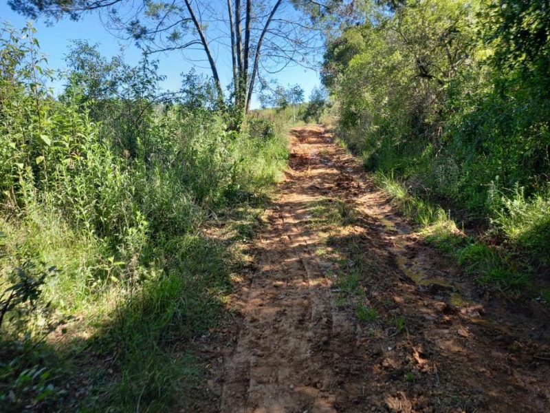 Terreno - Canguçu - RS, localizado em Canguçu - RS