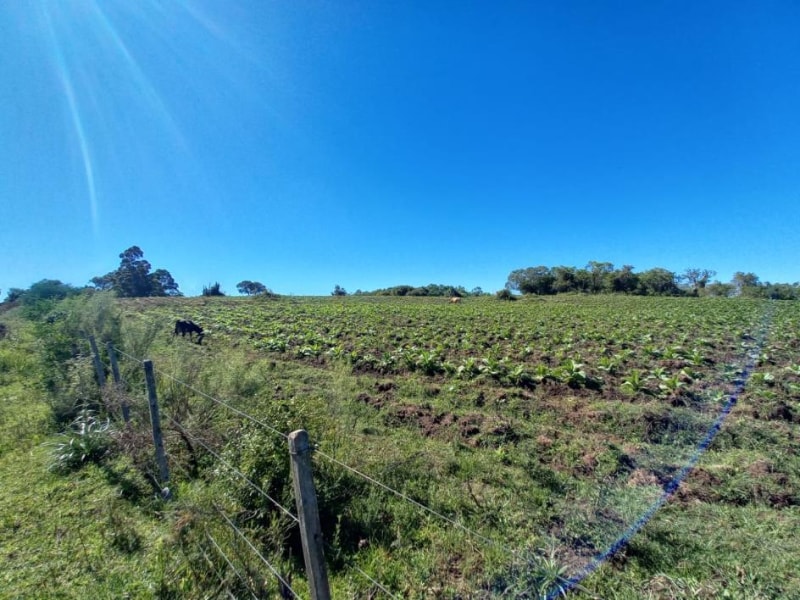 Terreno - Canguçu - RS, localizado em Canguçu - RS