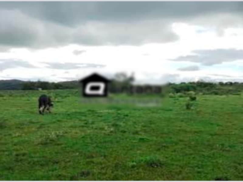 Terreno - Canguçu - RS, localizado em Canguçu - RS