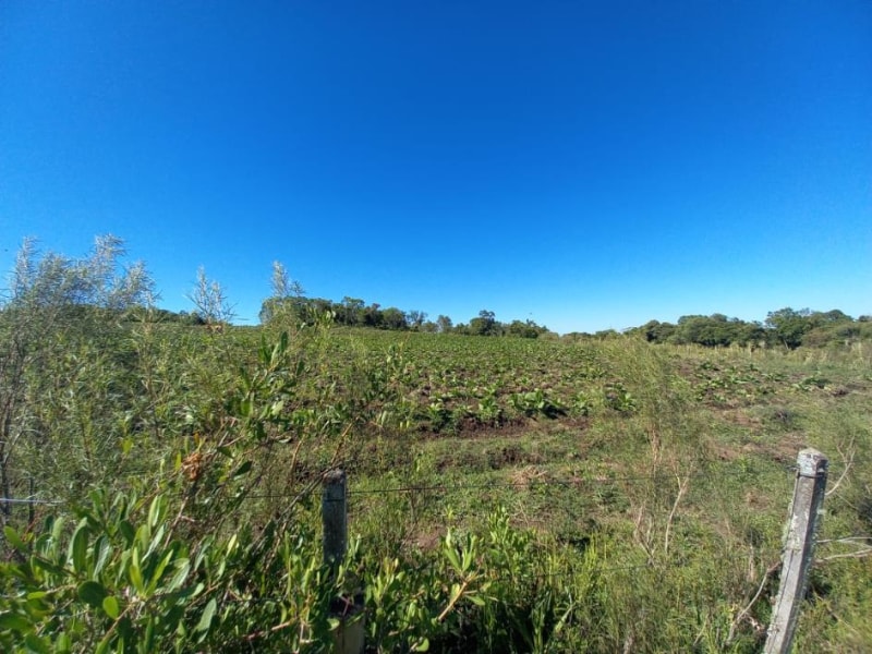 Terreno - Canguçu - RS, localizado em Canguçu - RS