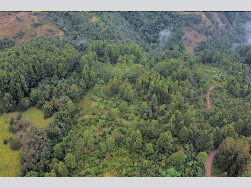 Imagem do imóvel Terreno - Chapecó - SC