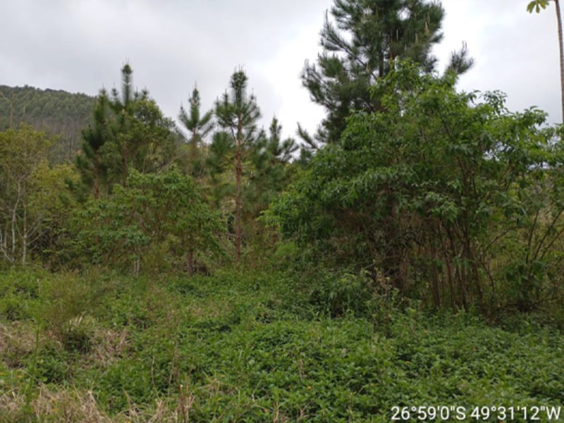 Terreno - Ibirama - SC, localizado em Ibirama - SC