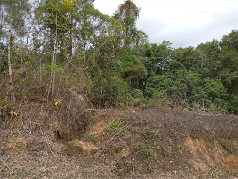 Terreno - Ibirama - SC, localizado em Ibirama - SC