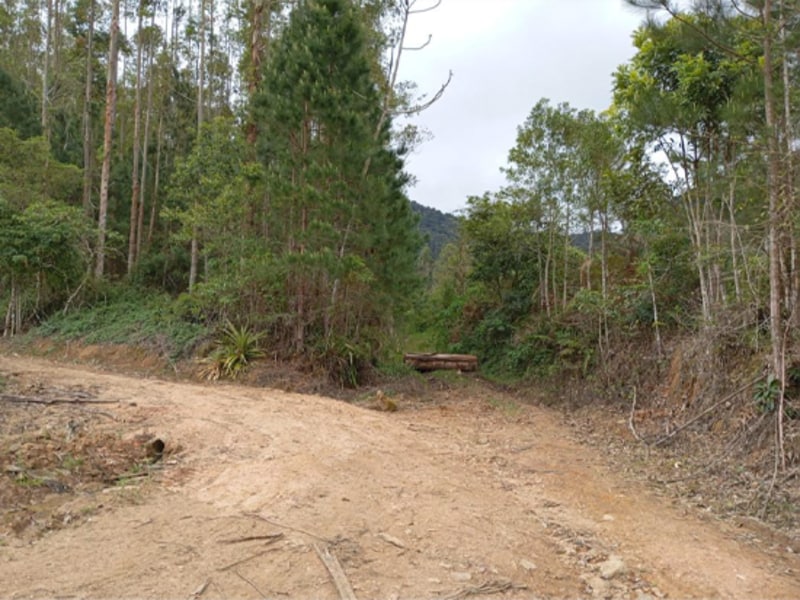 Terreno - Ibirama - SC, localizado em Ibirama - SC