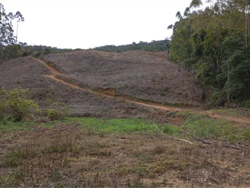 Terreno - Ibirama - SC, localizado em Ibirama - SC