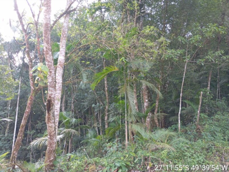 Terreno - Rio do Sul - SC, localizado em Rio Do Sul - SC, bairro Fundo Canoas