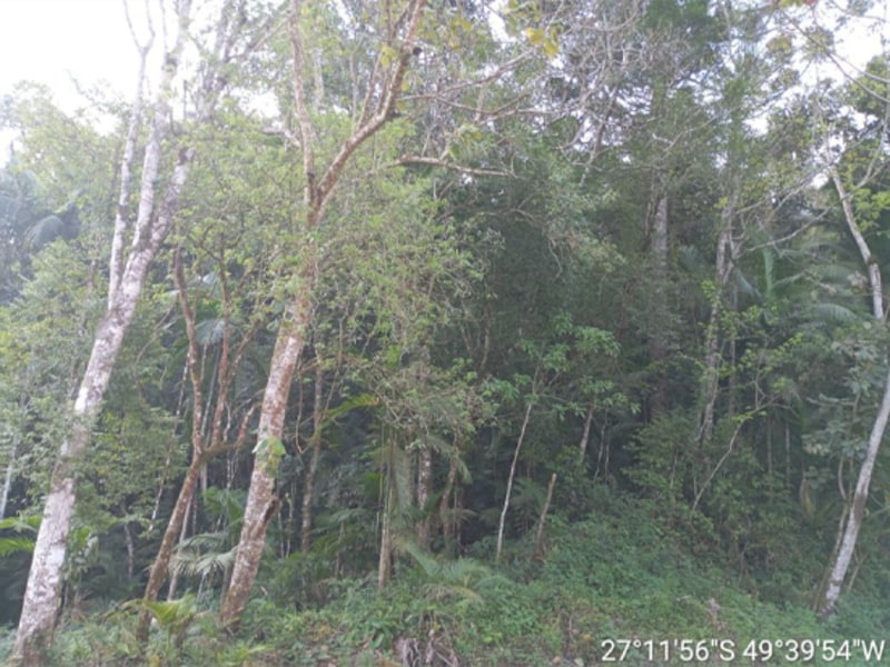 Terreno - Rio do Sul - SC, localizado em Rio Do Sul - SC, bairro Fundo Canoas