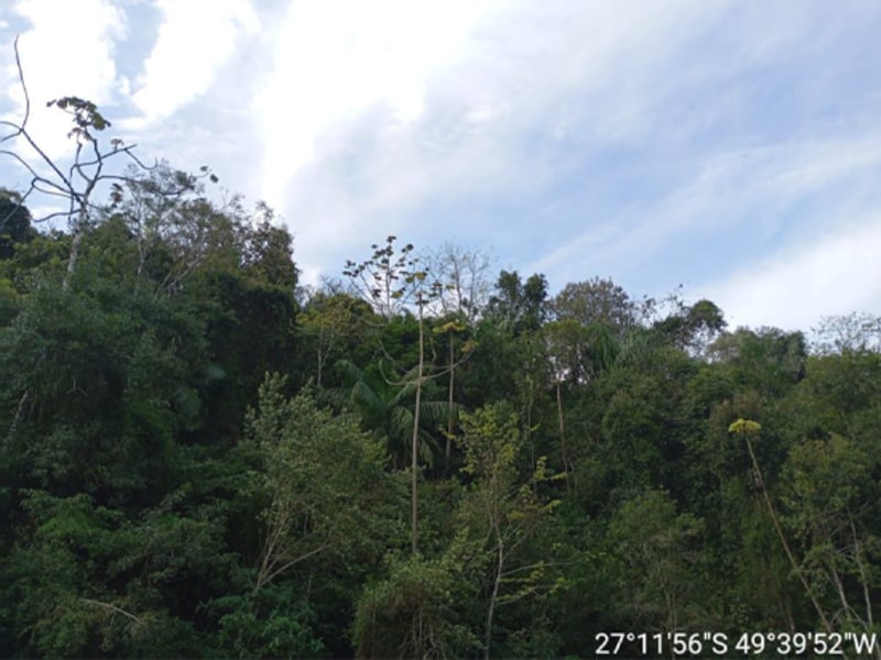 Terreno - Rio do Sul - SC, localizado em Rio Do Sul - SC, bairro Fundo Canoas