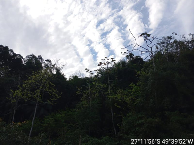 Terreno - Rio do Sul - SC, localizado em Rio Do Sul - SC, bairro Fundo Canoas