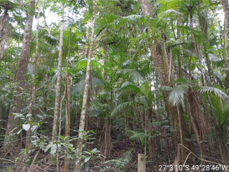 Terreno - Ibirama - SC, localizado em Ibirama - SC
