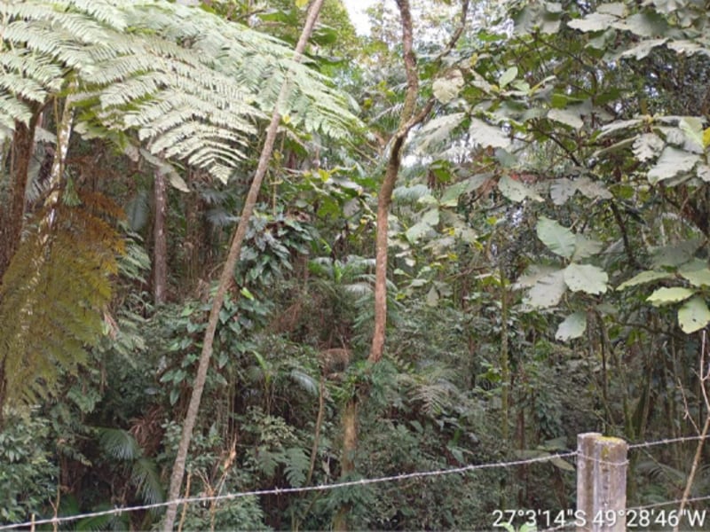 Terreno - Ibirama - SC, localizado em Ibirama - SC