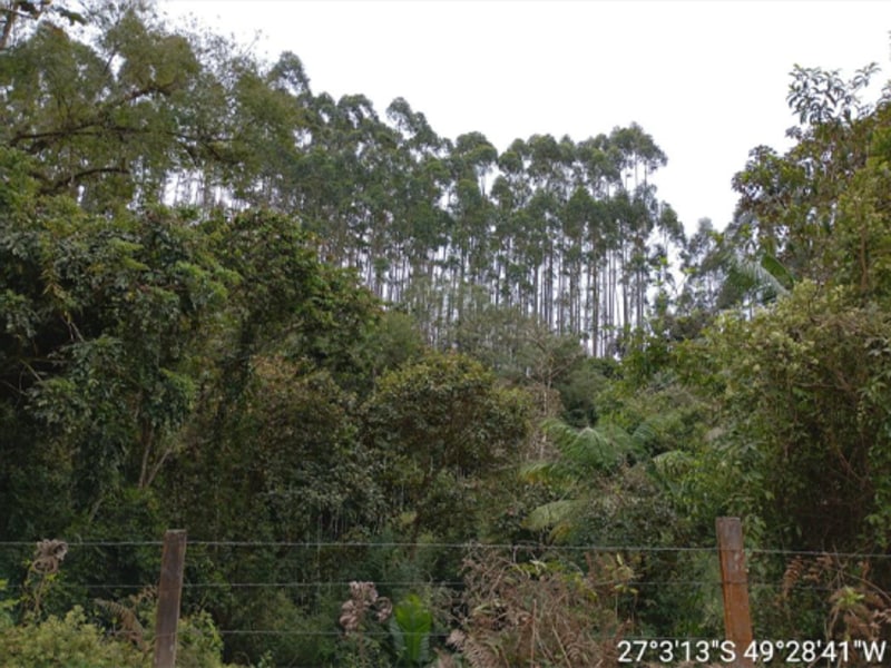Terreno - Ibirama - SC, localizado em Ibirama - SC