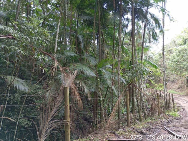 Terreno - Ibirama - SC, localizado em Ibirama - SC