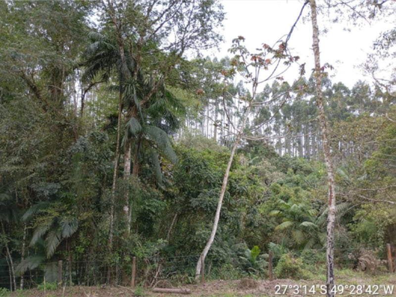 Terreno - Ibirama - SC, localizado em Ibirama - SC