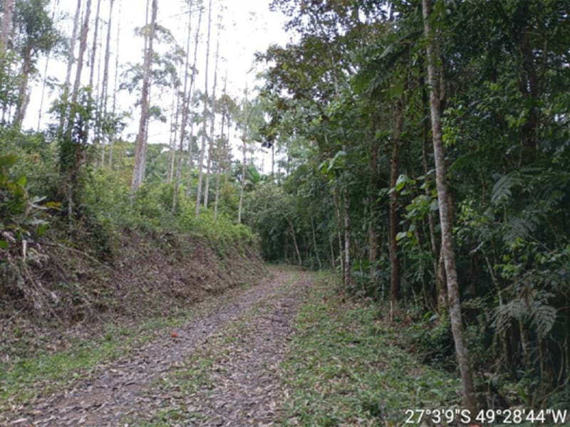 Terreno - Ibirama - SC, localizado em Ibirama - SC
