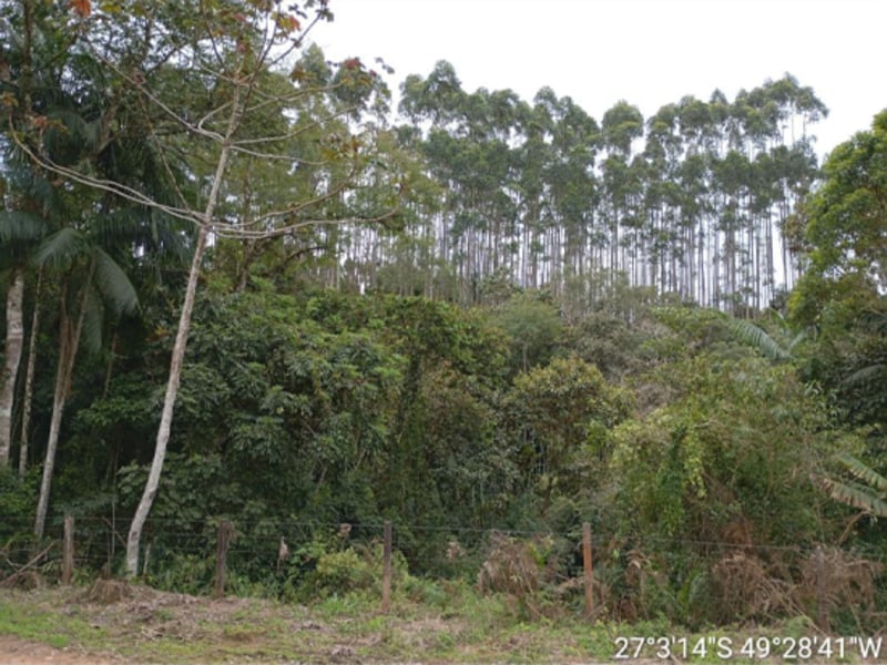 Terreno - Ibirama - SC, localizado em Ibirama - SC