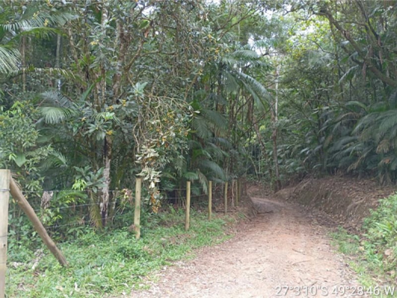 Terreno - Ibirama - SC, localizado em Ibirama - SC