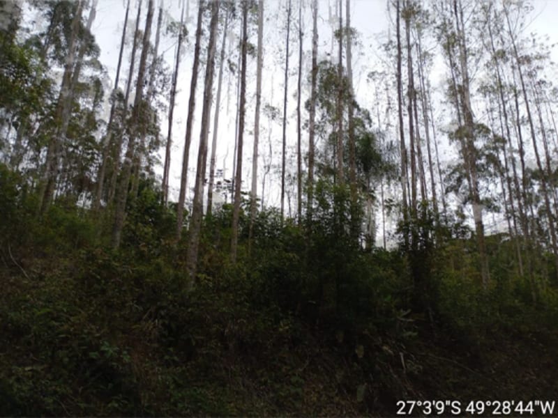 Terreno - Ibirama - SC, localizado em Ibirama - SC