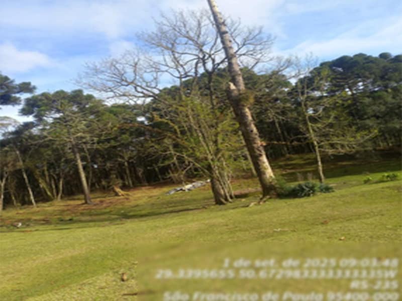 Imagem do imóvel Terreno - São Francisco de Paula - RS