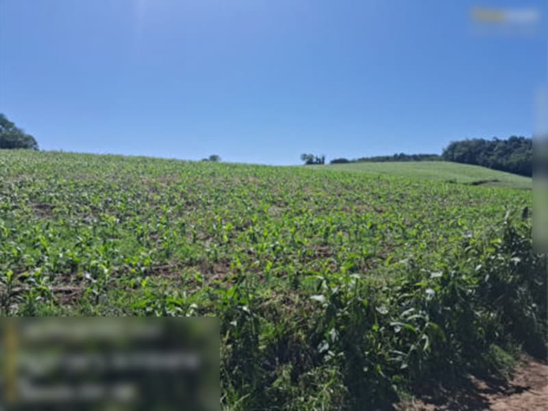 Imagem do imóvel Terreno - São Paulo Das Missões - RS