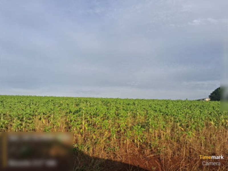 Terreno - Entre-ijuís - RS, localizado em Entre-ijuís - RS