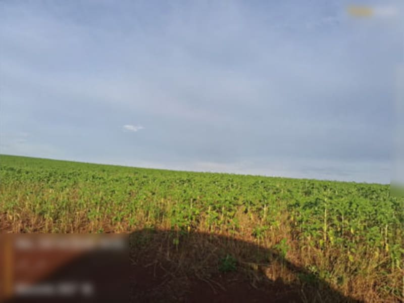 Terreno - Entre-ijuís - RS, localizado em Entre-ijuís - RS