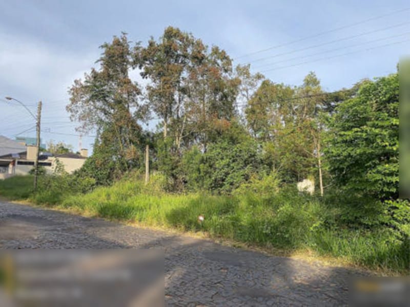 Imagem do imóvel Terreno - Gramado - RS