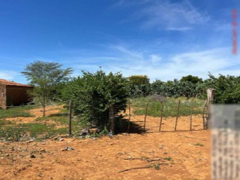 Imagem do imóvel Terreno São Gabriel BA