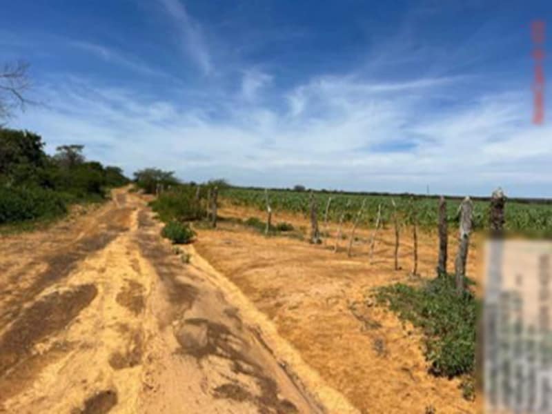 Imagem do imóvel Terreno São Gabriel BA