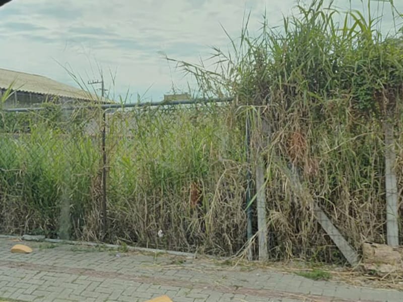 Imagem do imóvel Terreno - Igrejinha - RS
