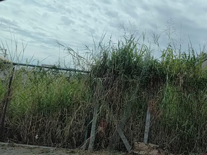 Imagem do imóvel Terreno - Bombinhas - SC