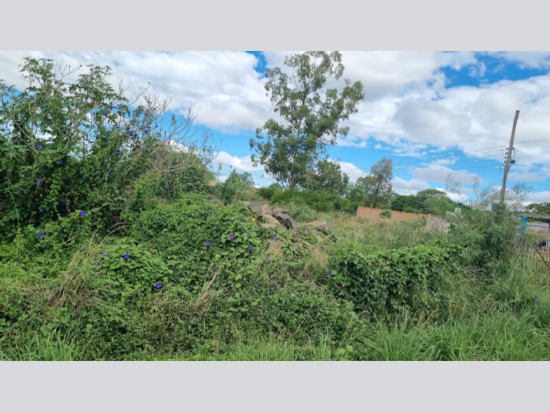 Imagem do imóvel Terreno - Alegrete - RS