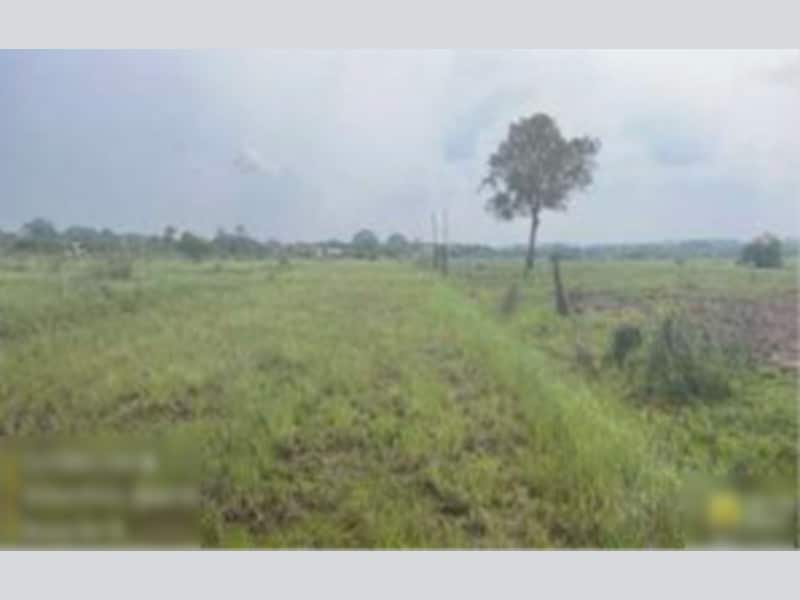 Imagem do imóvel Terreno - Alegrete - RS