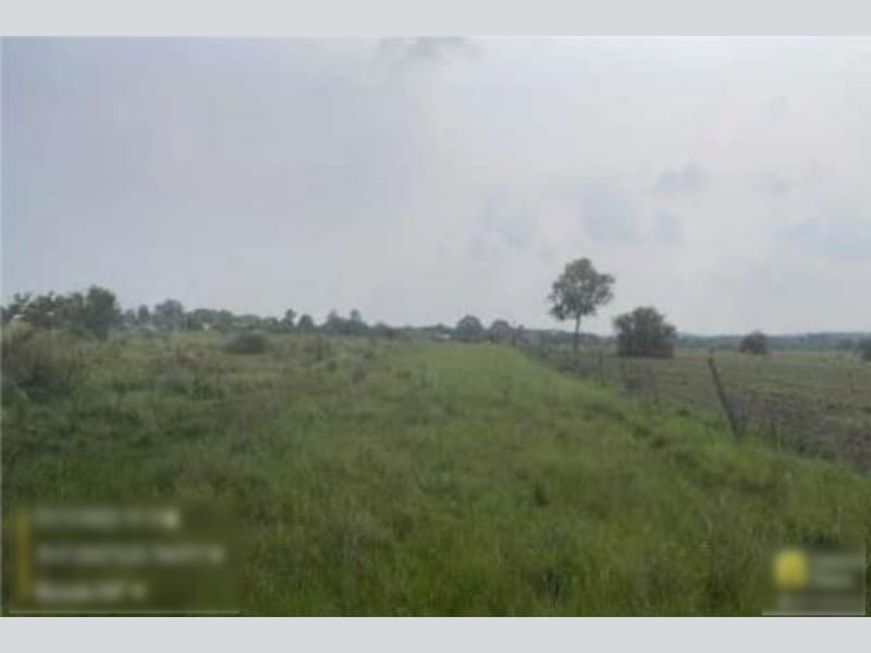 Imagem do imóvel Terreno - Alegrete - RS