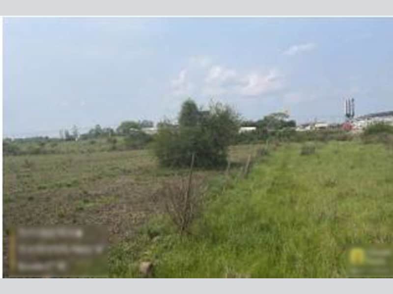 Imagem do imóvel Terreno - Alegrete - RS