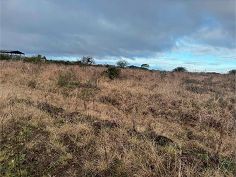 Imagem do imóvel Terreno - Alegrete - RS